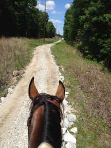 road bed built up in swampy area, had to boot front feet