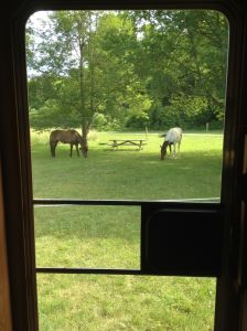 lovely kitchen table view