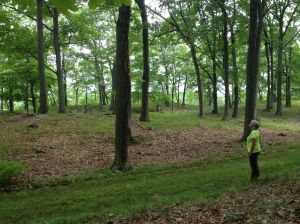 outdoor stations of the cross