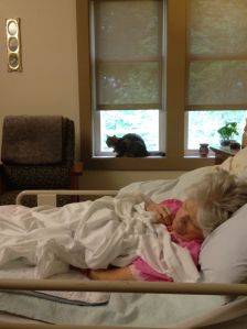 Mom's cat Dana visiting in hospice home