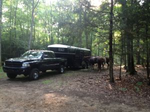 other camper's horses