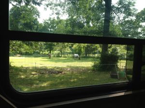 painting in the trailer view