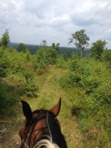 top of an old ski slope