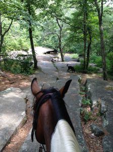 Stepping stone falls
