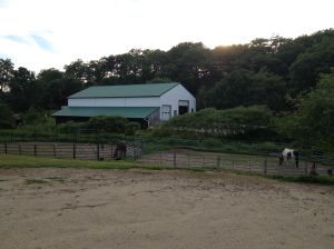overnight location of the swarming bees