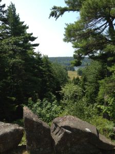 some pond off in the distance