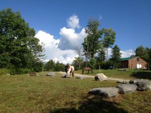 free grazing allowed