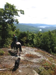 Dave on Taz at the view