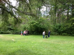 the bucket full o kids gang