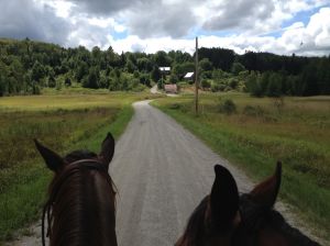going to the rail trail