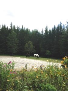 rest stop at the nature center