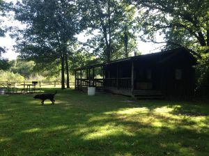 state cabin you can rent sleeps 8