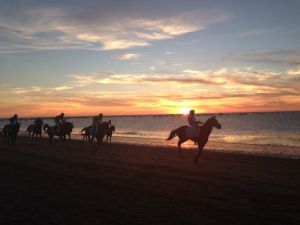 my son sent me this from a race he went to on the beach in Spain