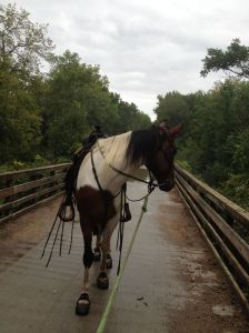 WF eyes the scary bridge last day in WI