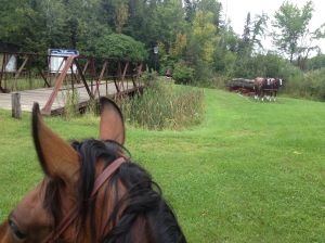 the horse statues in WI