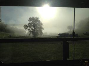 sunrise fog from my window