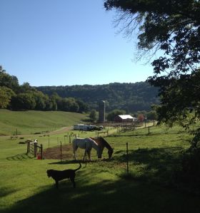 Outback Ranch buildings in the distance
