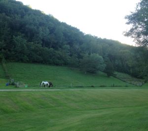 my mare's hillside pasture