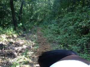 tail view of the man from snowy river trail (it is steep and long but its not a cliff)