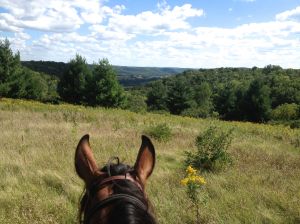at the look out area