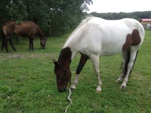 warming up after the first cold night here