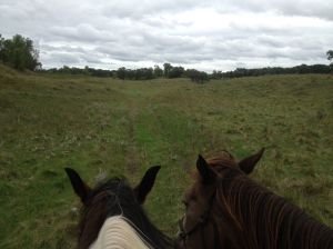 first ride here, frisky so I ponied