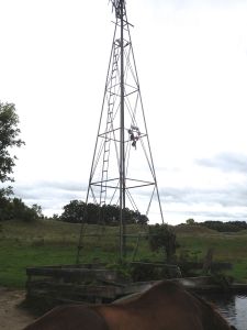 the Victoria Secrets windmill (those are bras hanging half way up)