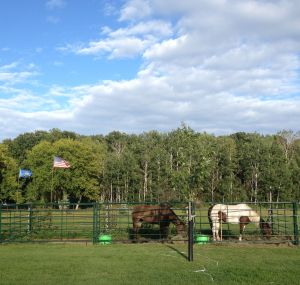 only downside here, small pens, well that and the temps...