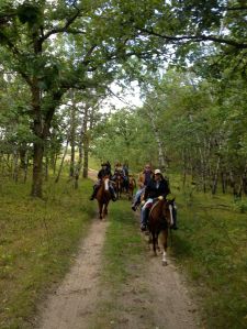 with the quarter horse gang