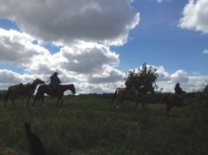 another rider was ponying too