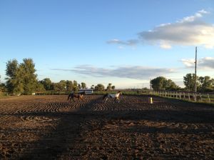 My mares turned out in the arena in Billings.