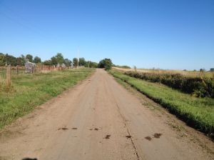 my 2nd SD overnight, looking down the road towards their home
