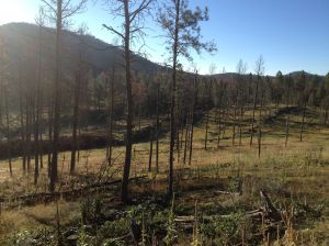 exploring the area with Tommy & Liza