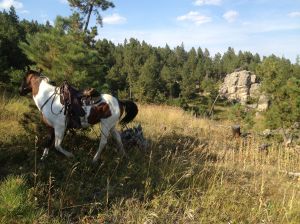 knickers in a bunch again