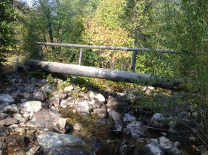a log foot bridge